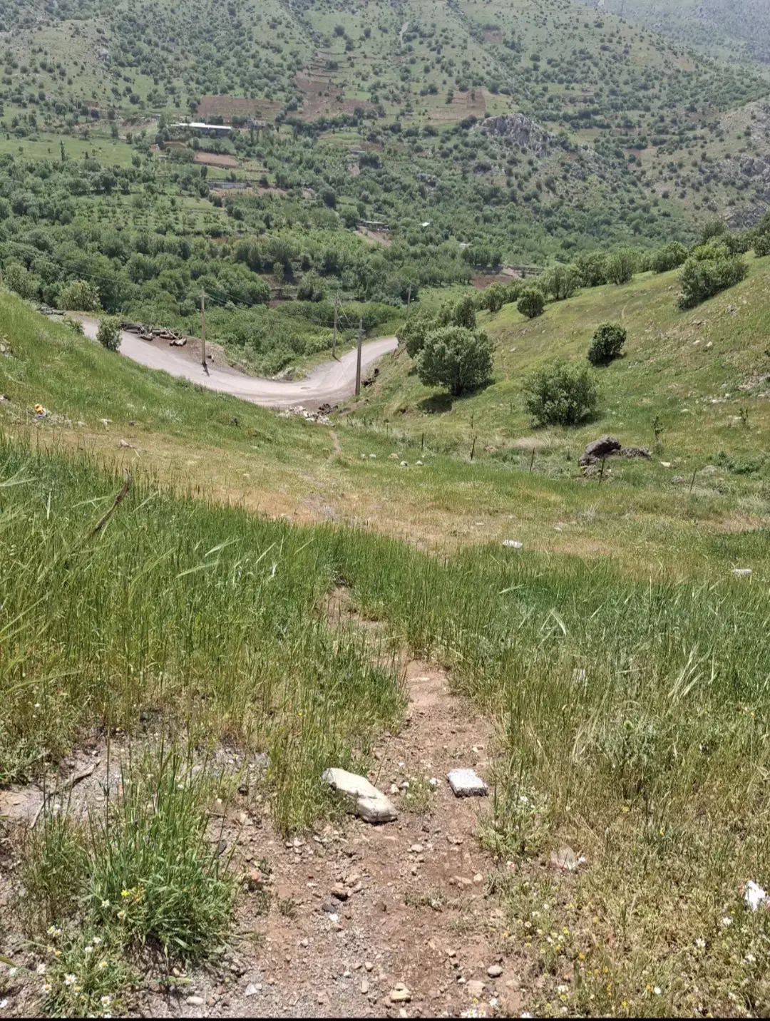 فروش زمین چورژی|فروش زمین و ملک کلنگی|پاوه, |دیوار