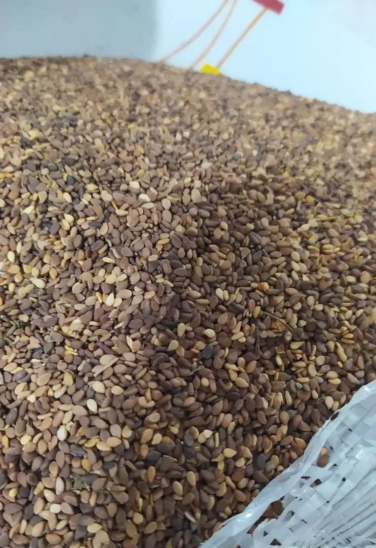 کنجد بوجاری شده|خوردنی و آشامیدنی|شیراز, فرهنگ شهر|دیوار