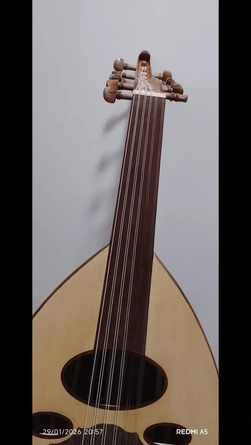 عود|سازهای سنتی|بندرعباس, |دیوار