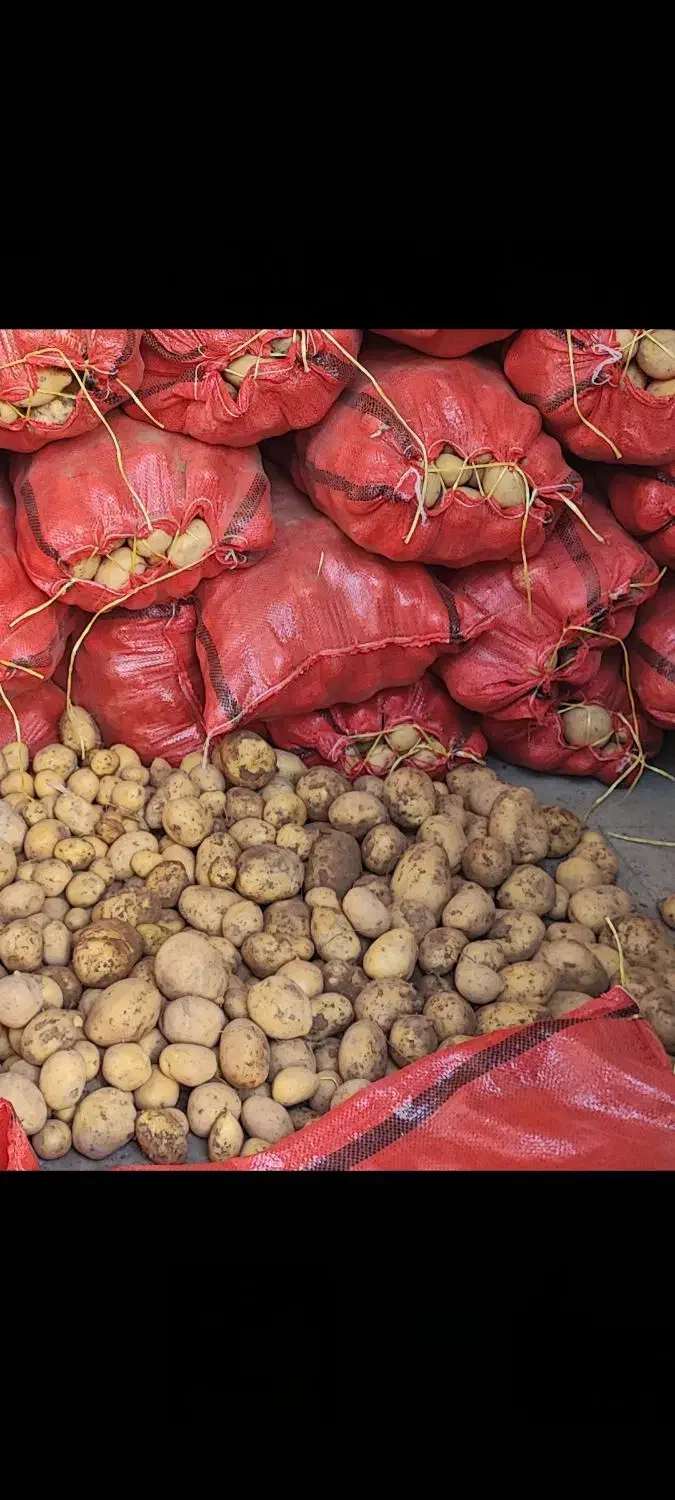 سیب زمینی|خوردنی و آشامیدنی|شهریار, کهنز|دیوار