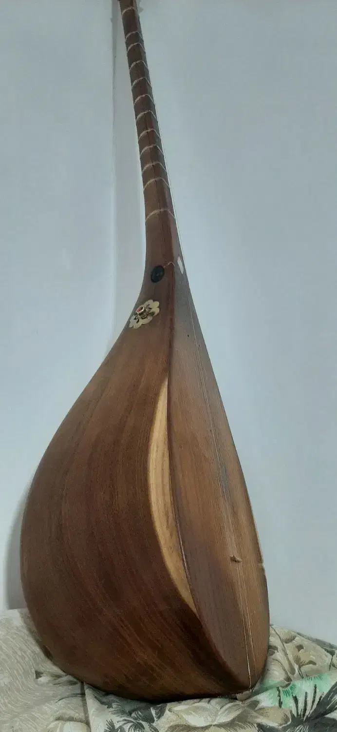 دوتار خوش صدا حرفه ای|سازهای سنتی|شیروان (خراسان), |دیوار