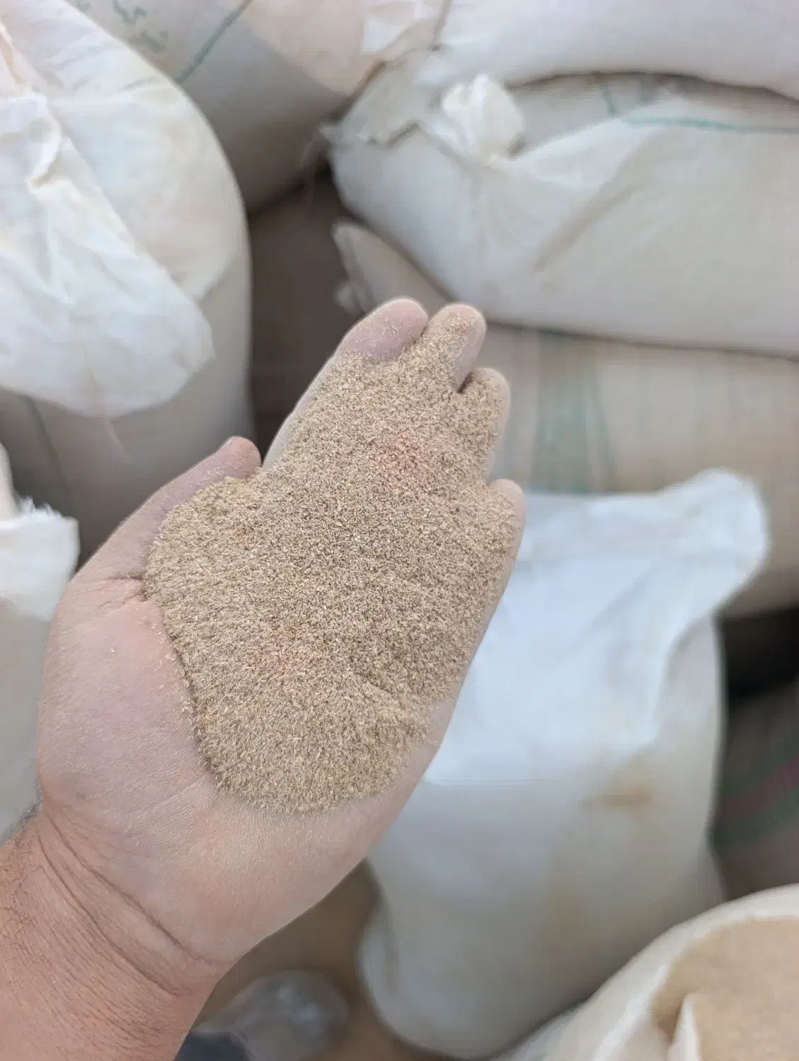 دوکوب پوست چلتوک|عمدهفروشی|درودزن, |دیوار