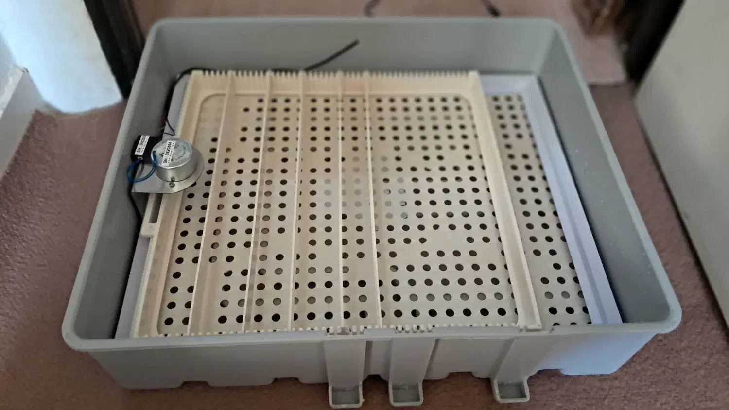 دستگاه جوجه کشی داتیکس|لوازم جانبی حیوانات|گرمسار, |دیوار