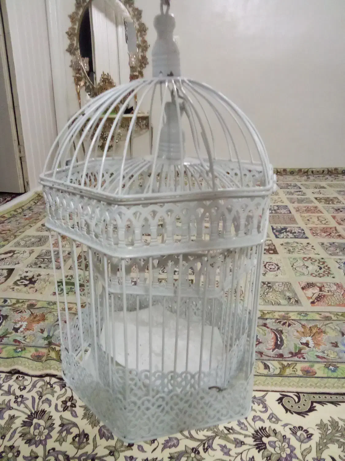 قفسه پرنده های زینتی|لوازم جانبی حیوانات|نسیم‌شهر, |دیوار