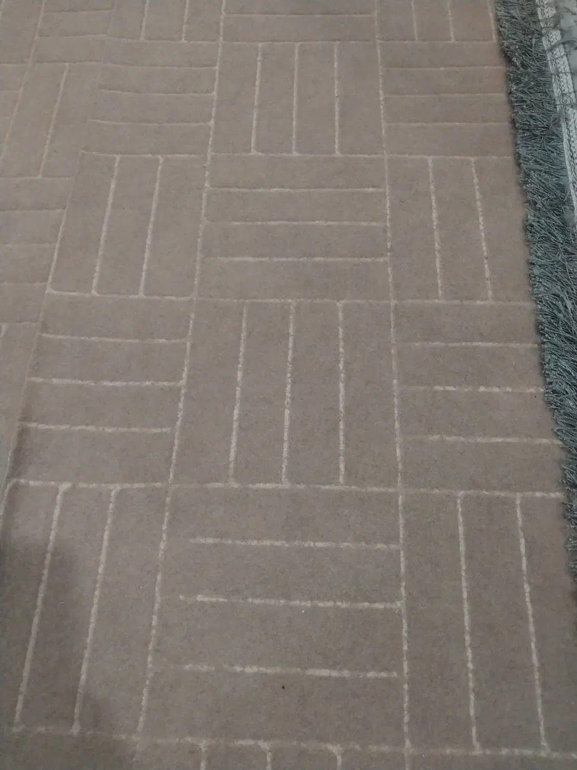 موکت دست دوم رنگ کرم|موکت|دهدشت, |دیوار