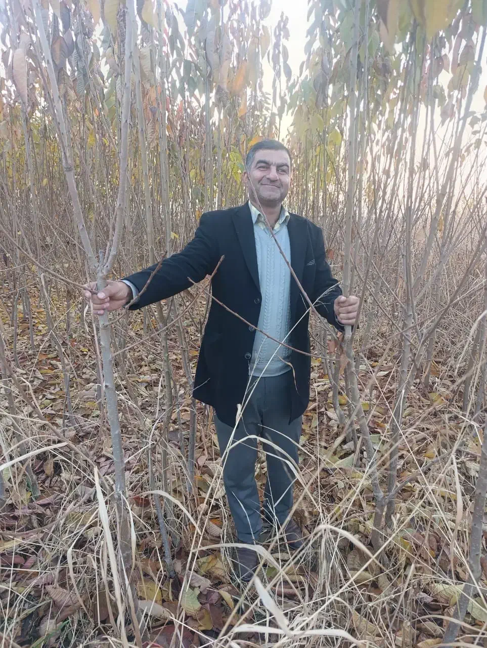 نهـال سـالم و با کـیفـیت ،مناسب بـاغ و ویــلا|خدمات باغبانی و درختکاری|سیروان, |دیوار