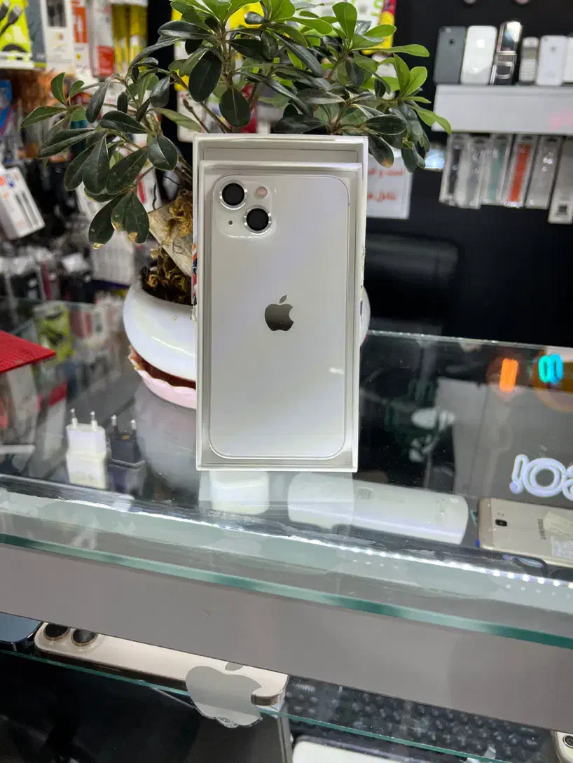 آیفون 13 نرمال|موبایل|کرج, کوی امامیه|دیوار