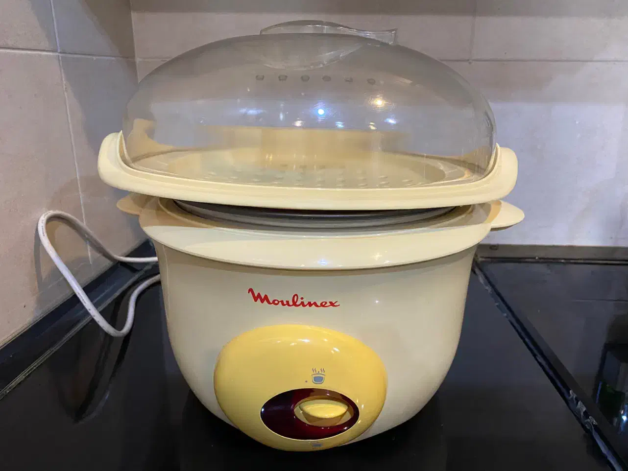 پلو پز وبخار پز مولینکس|اجاق گاز و لوازم برقی پخت‌وپز|شیراز, قدوسی غربی|دیوار