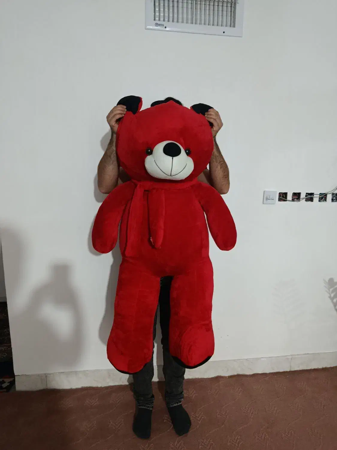 عروسک مخملی نو|اسباب‌‌بازی|فلاورجان, |دیوار