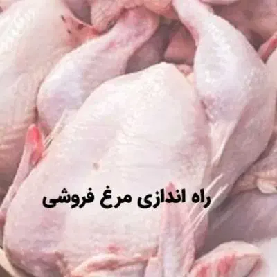 فروش عمده مرغ|خدمات پذیرایی، مراسم|دزفول, |دیوار