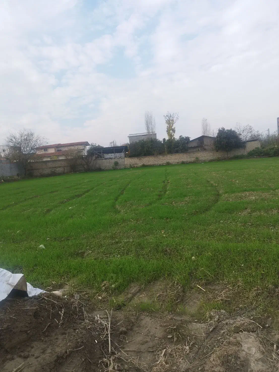 زمین مسکونی|فروش زمین و ملک کلنگی|گلوگاه, |دیوار