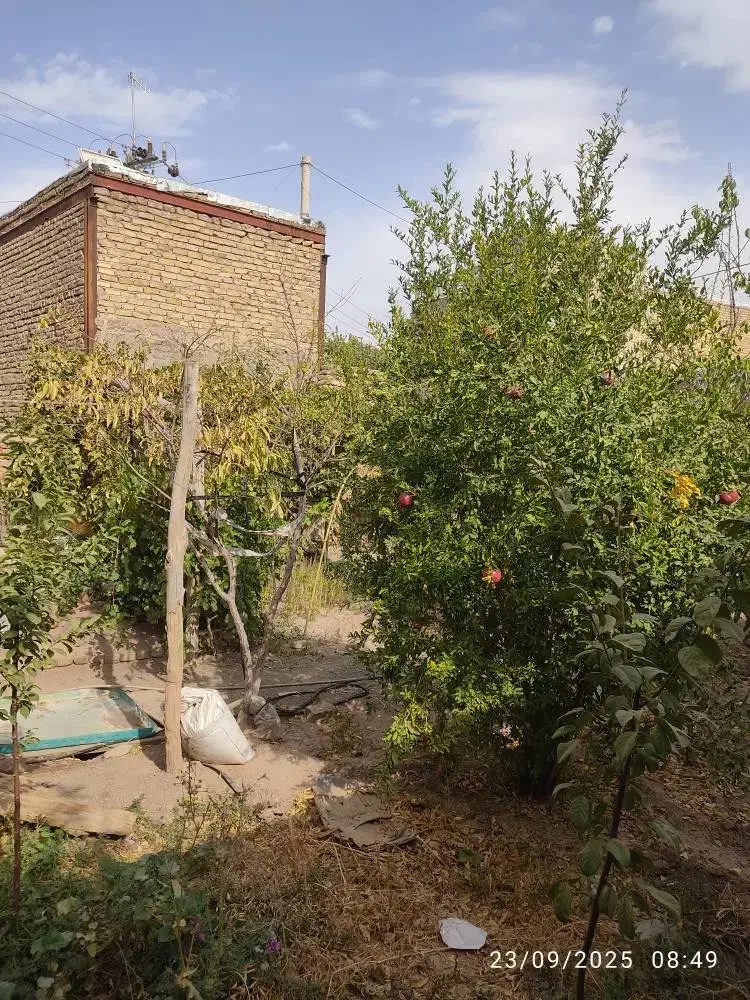 مغازه و باغ در منظر|فروش مغازه و غرفه|تربتحیدریه, منظر|دیوار