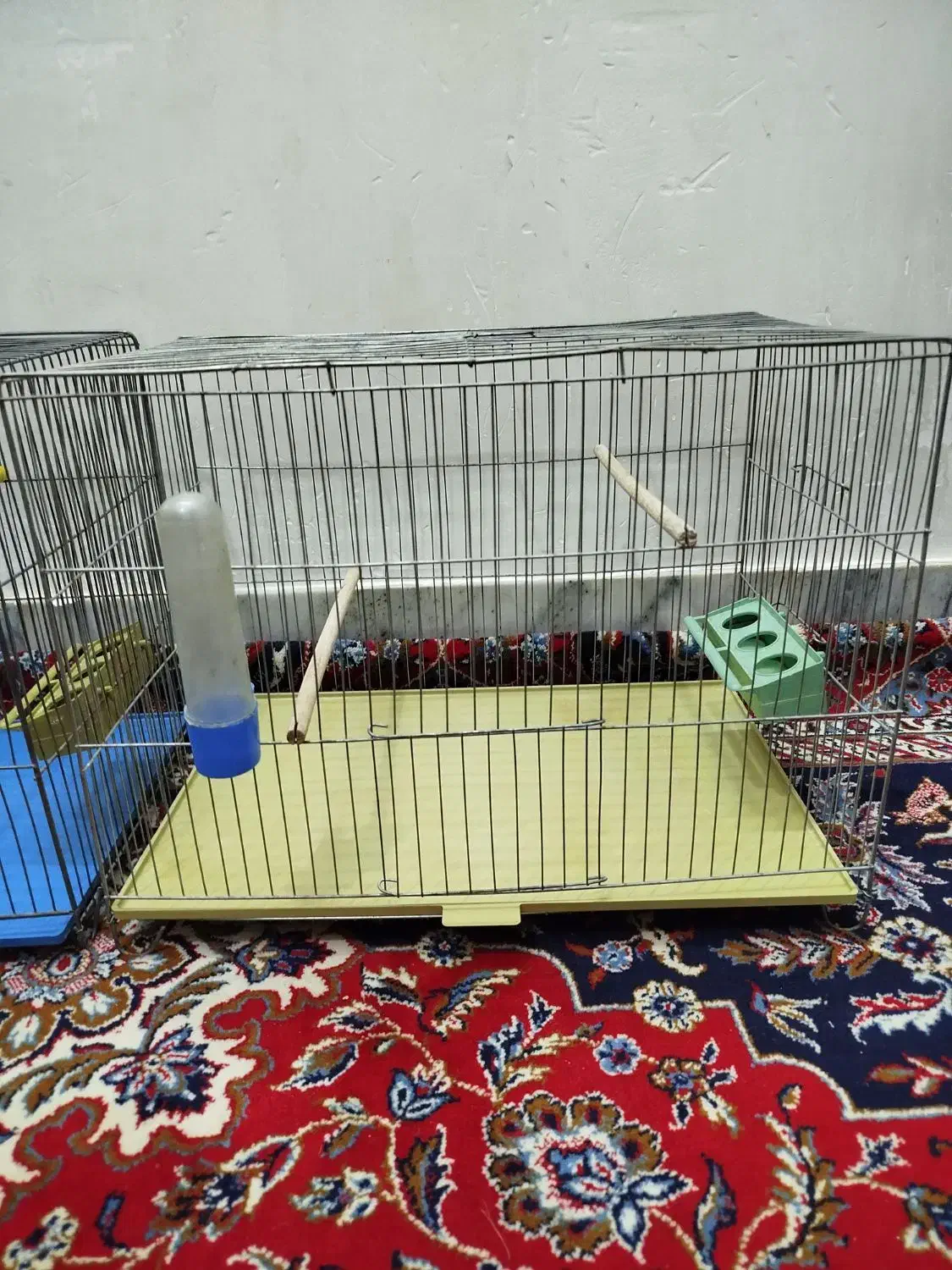 قفس پرنده|لوازم جانبی حیوانات|شاهین‌شهر, نبوت|دیوار