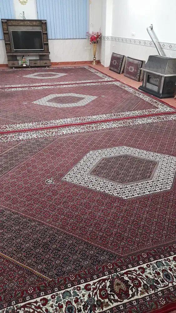 فرش درجه یک|فرش|زنجان, |دیوار