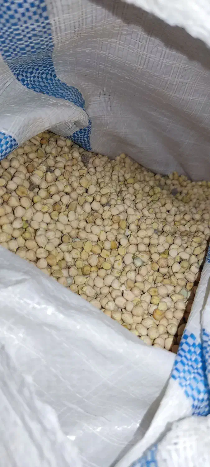 نخود ریز بش|خوردنی و آشامیدنی|شیراز, لاله|دیوار