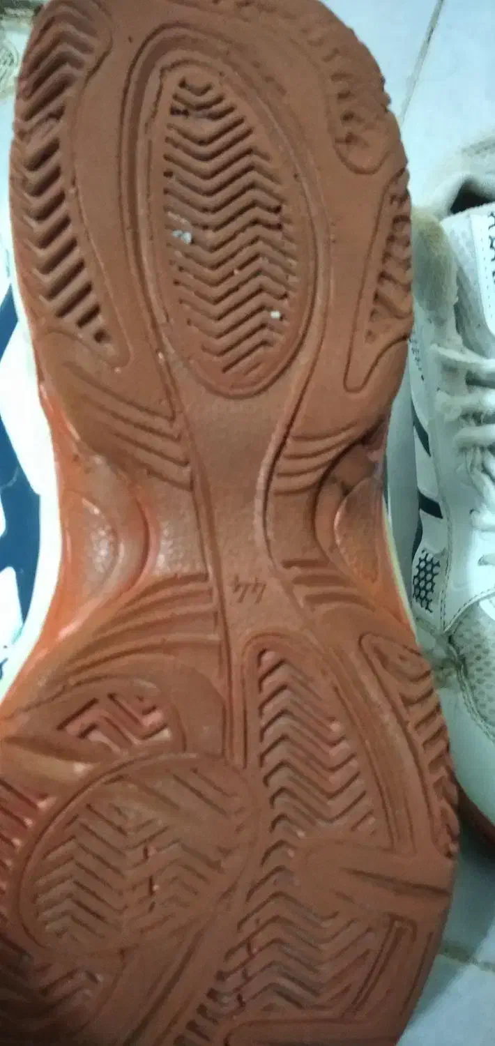 کفش اسپرت|کیف، کفش، کمربند|نیشابور, شهرآرا|دیوار