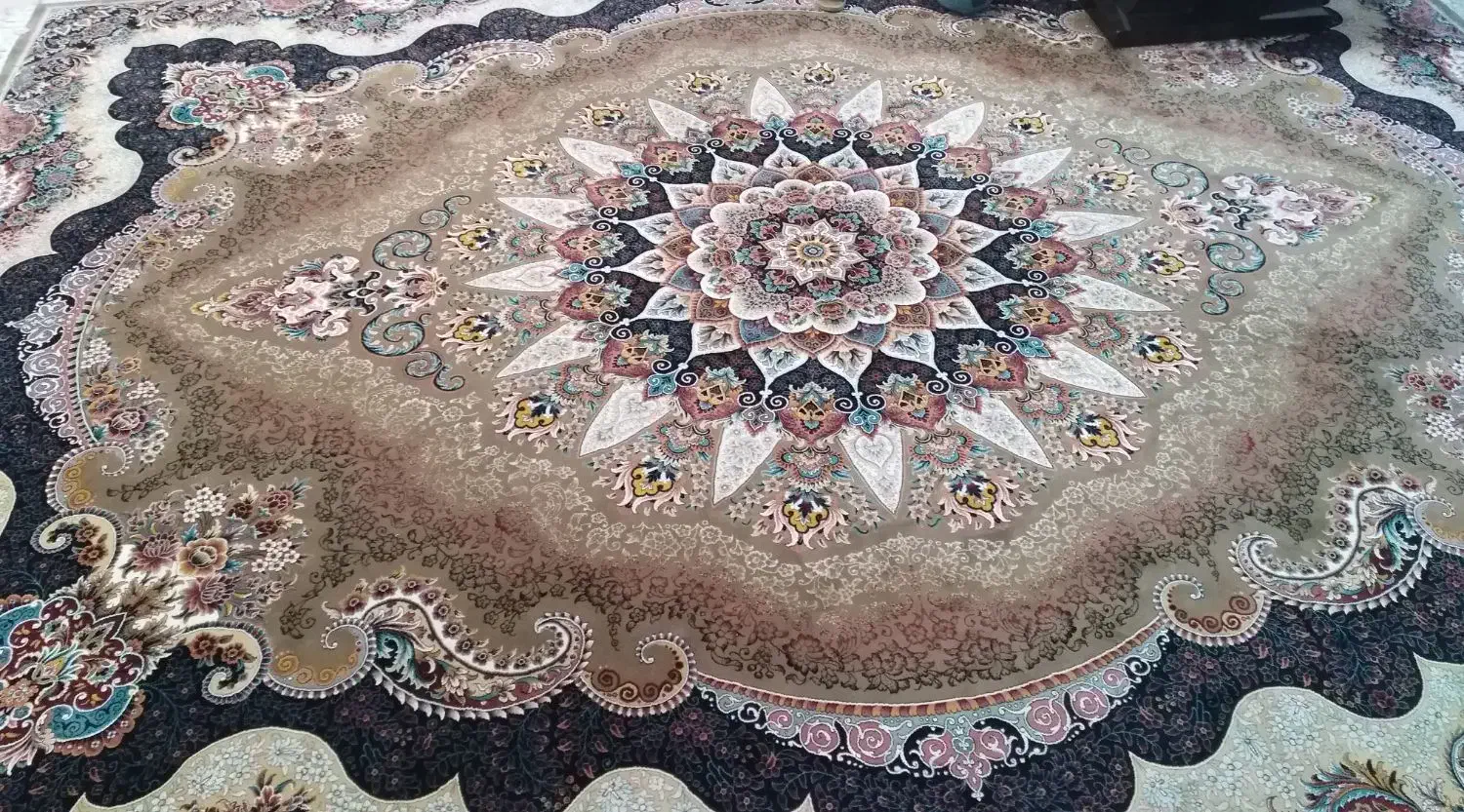 فرش در حد نو|فرش|بندرعباس, |دیوار