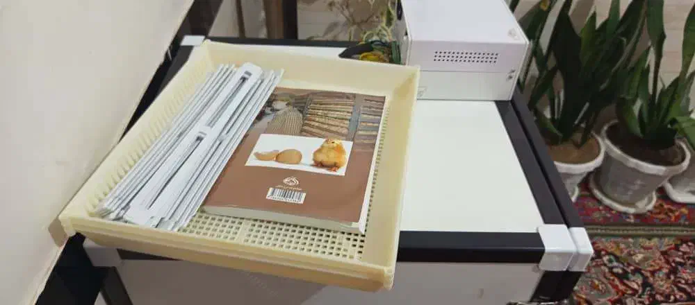 فروش ویژه یک دستگاه جوجه کشی اسکندری|لوازم جانبی حیوانات|پیرانشهر, |دیوار