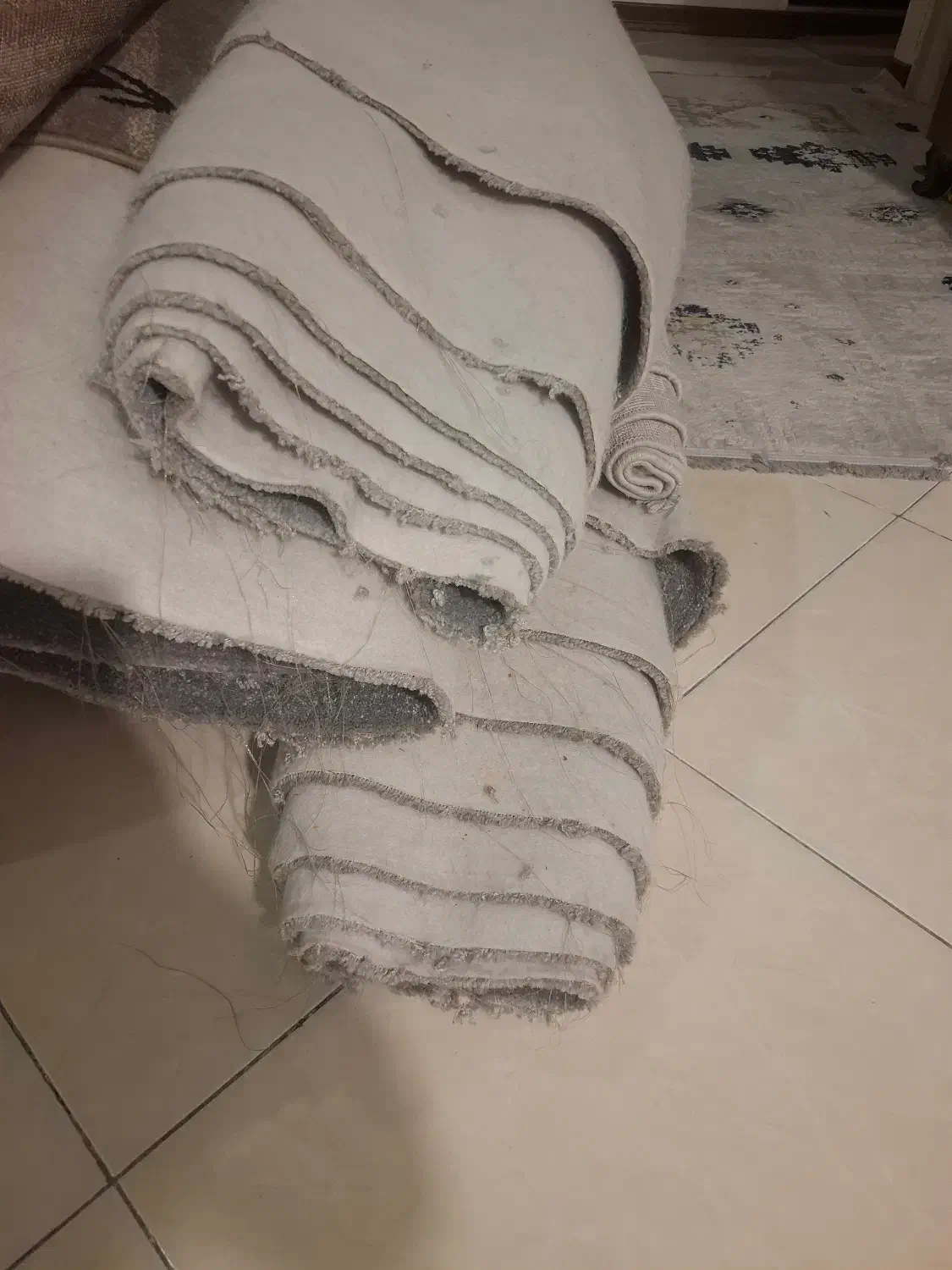 موکت نوتمیز|موکت|کرج, اتحاد|دیوار