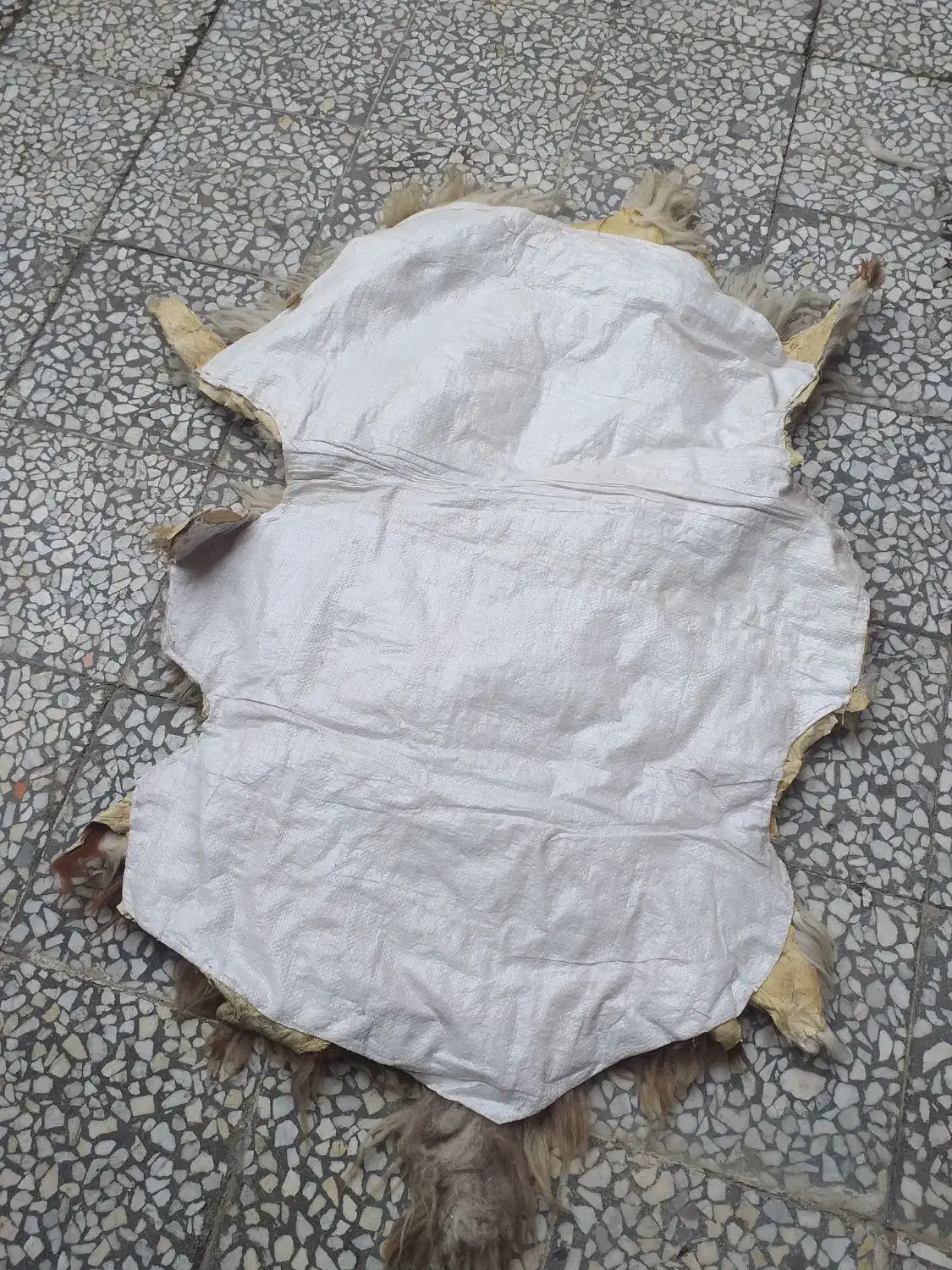 زیر انداز پوستی|روفرشی|خرمآباد, |دیوار