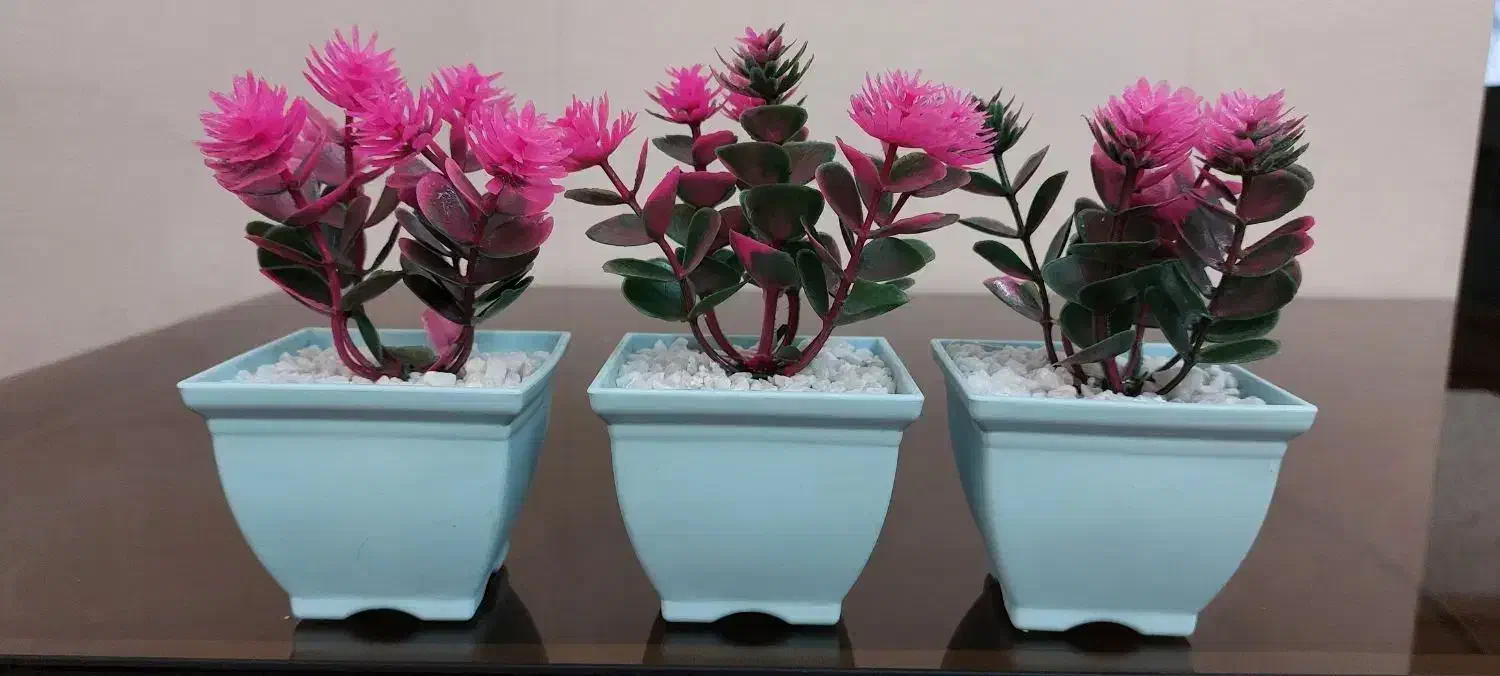 گل مصنوعی|گل مصنوعی|کرج, کیانمهر|دیوار