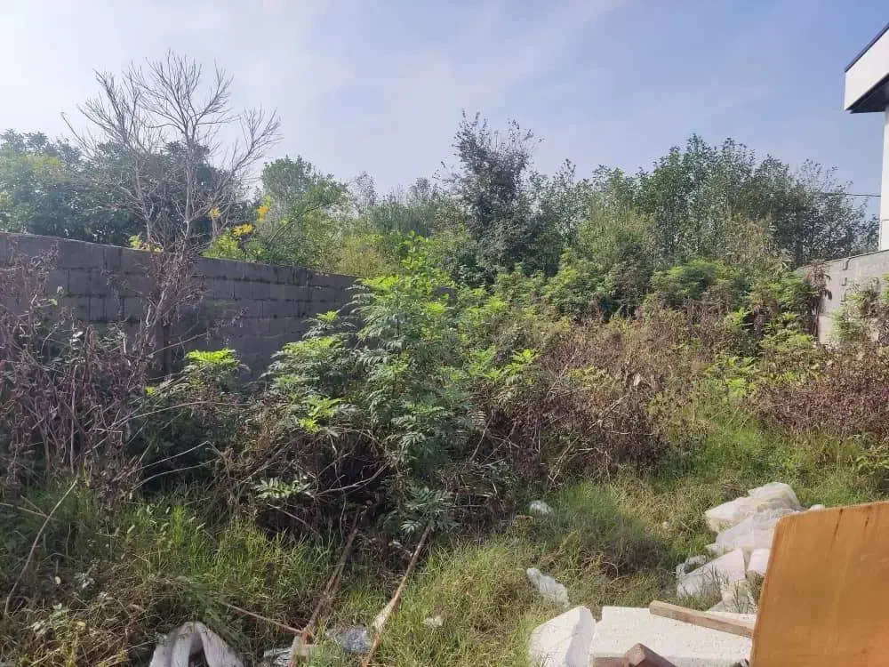 زمین مسکونی 5 دقیقه تا ساحل|فروش زمین و ملک کلنگی|خشکبیجار, |دیوار