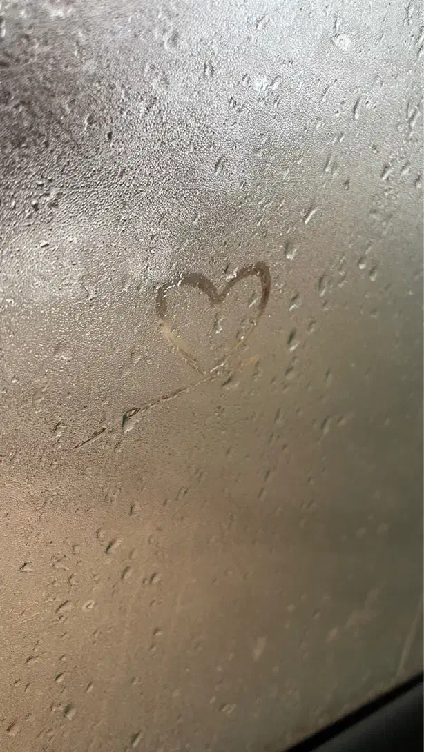 بلیط کنسرت معین زد|بلیت کنسرت|یزد, |دیوار