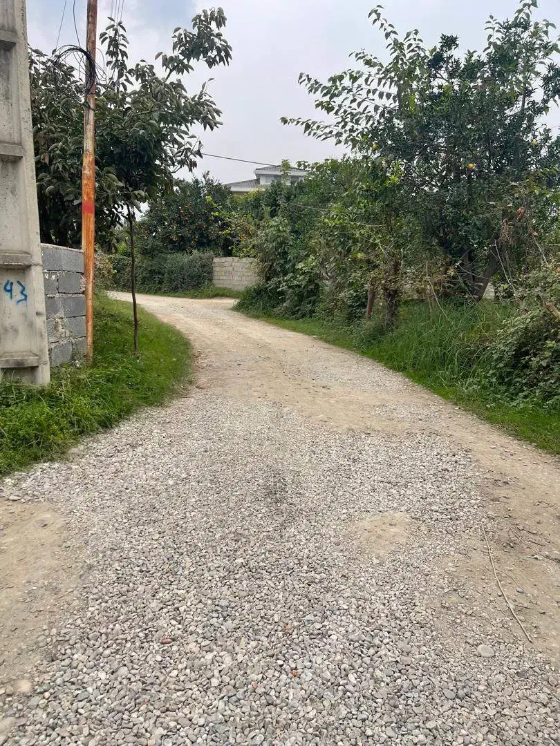 زمین ۳۵۰ متری بافت زرد همراه پروانه ساخت|فروش زمین و ملک کلنگی|شیرود, |دیوار