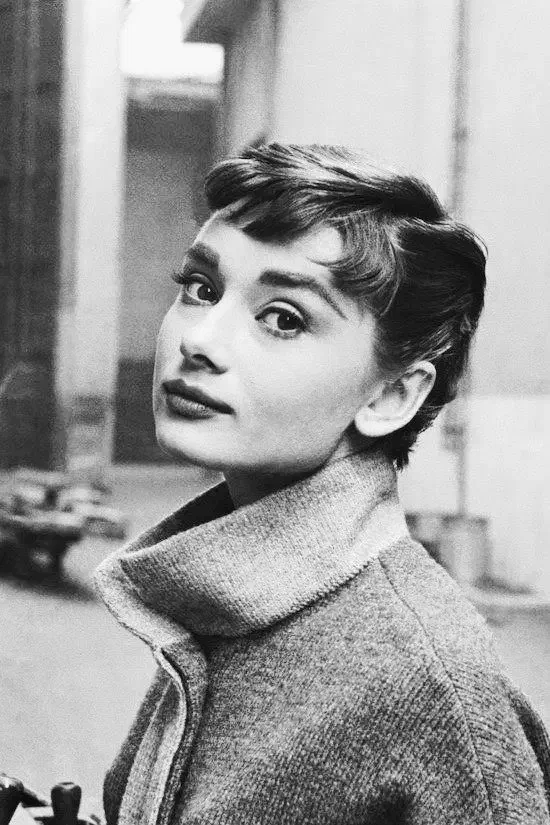 مدل خانوم عکاسی|استخدام هنری و رسانه|شیروان (خراسان), |دیوار