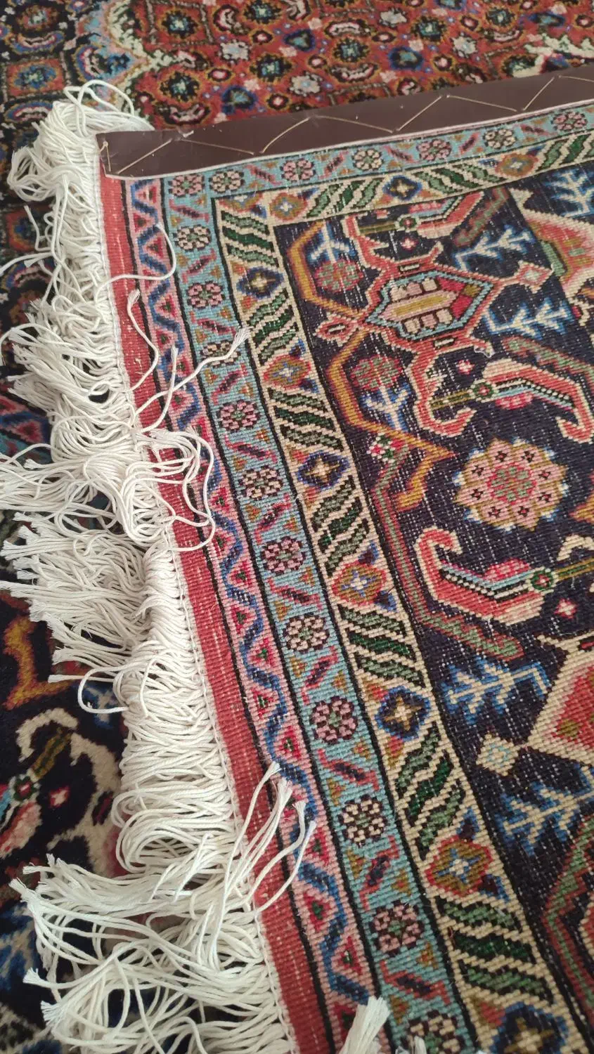 فروش فرش|فرش|مشگین شهر, |دیوار