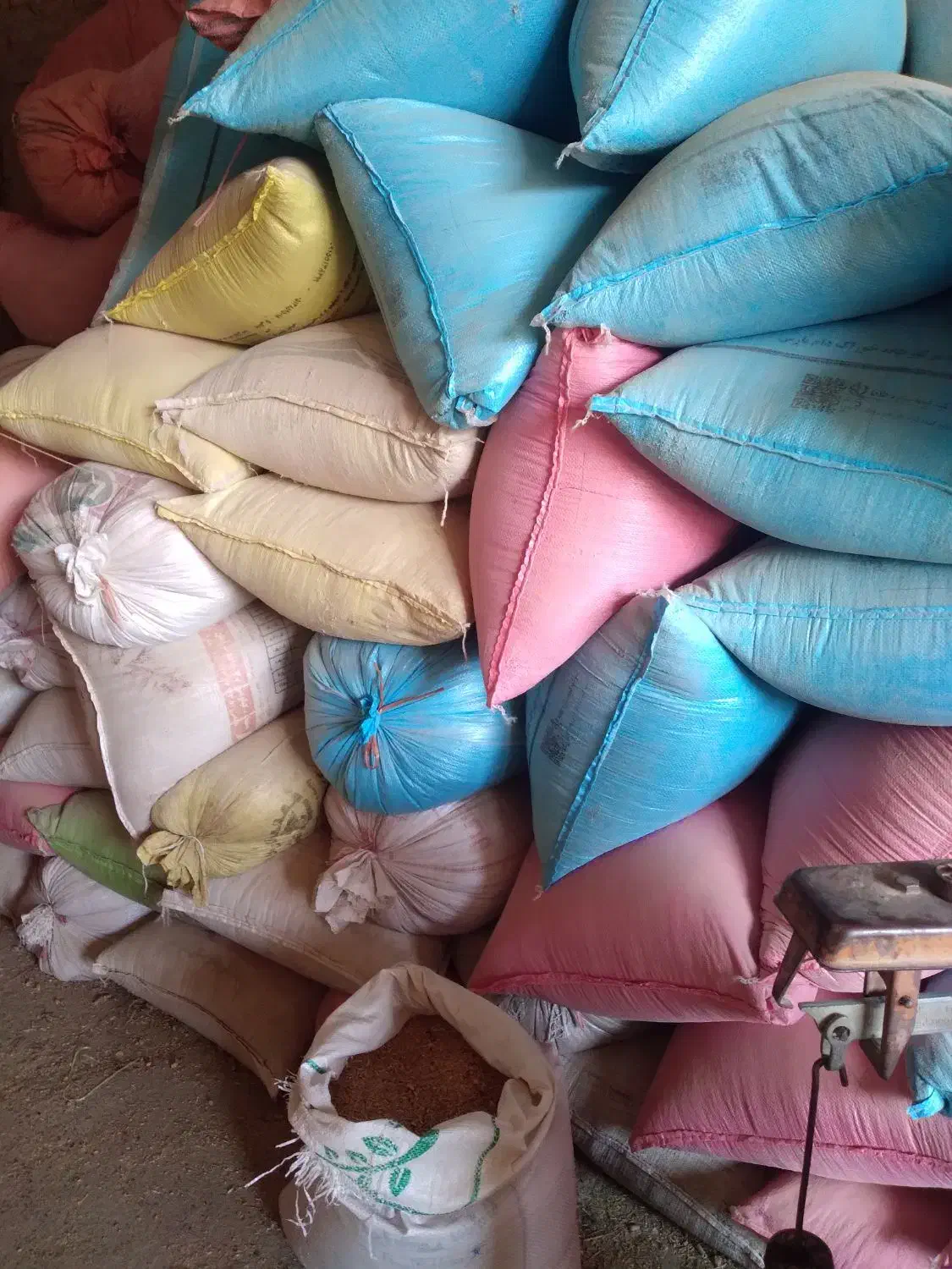 جو گندم. خوراک یونجه|خدمات باغبانی و درختکاری|رضویه, |دیوار