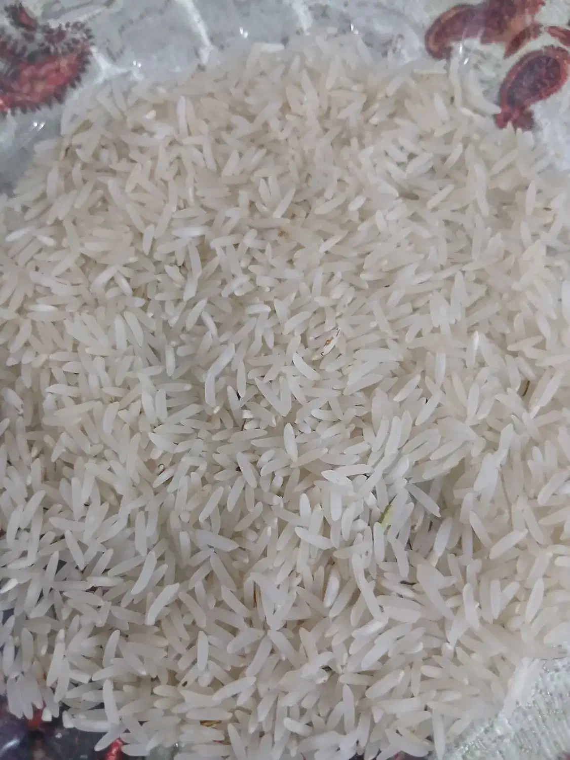 برنج فجر خوش عطر وبو|خوردنی و آشامیدنی|گرگان, |دیوار