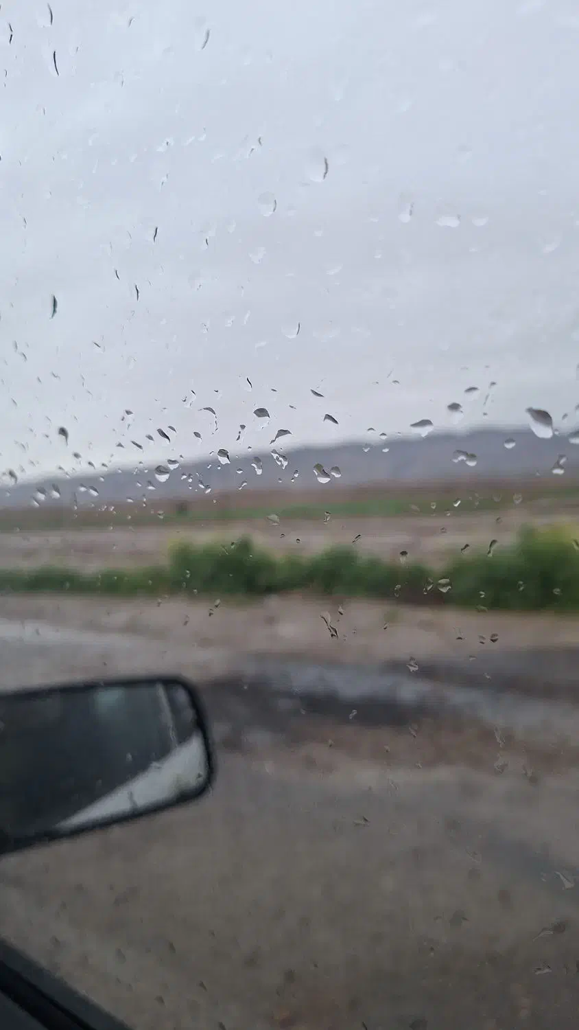 ضامن|فعالیت داوطلبانه تحقیقاتی|رامهرمز, |دیوار