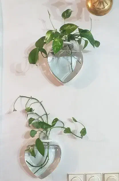 گلدان دیواری شیشهای|گل مصنوعی|لنگرود, |دیوار