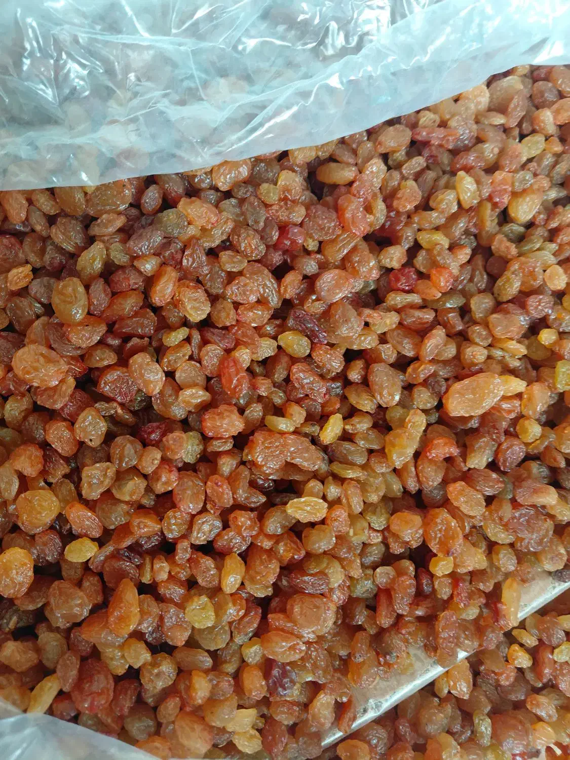 کشمش|حراج|بیرجند, |دیوار