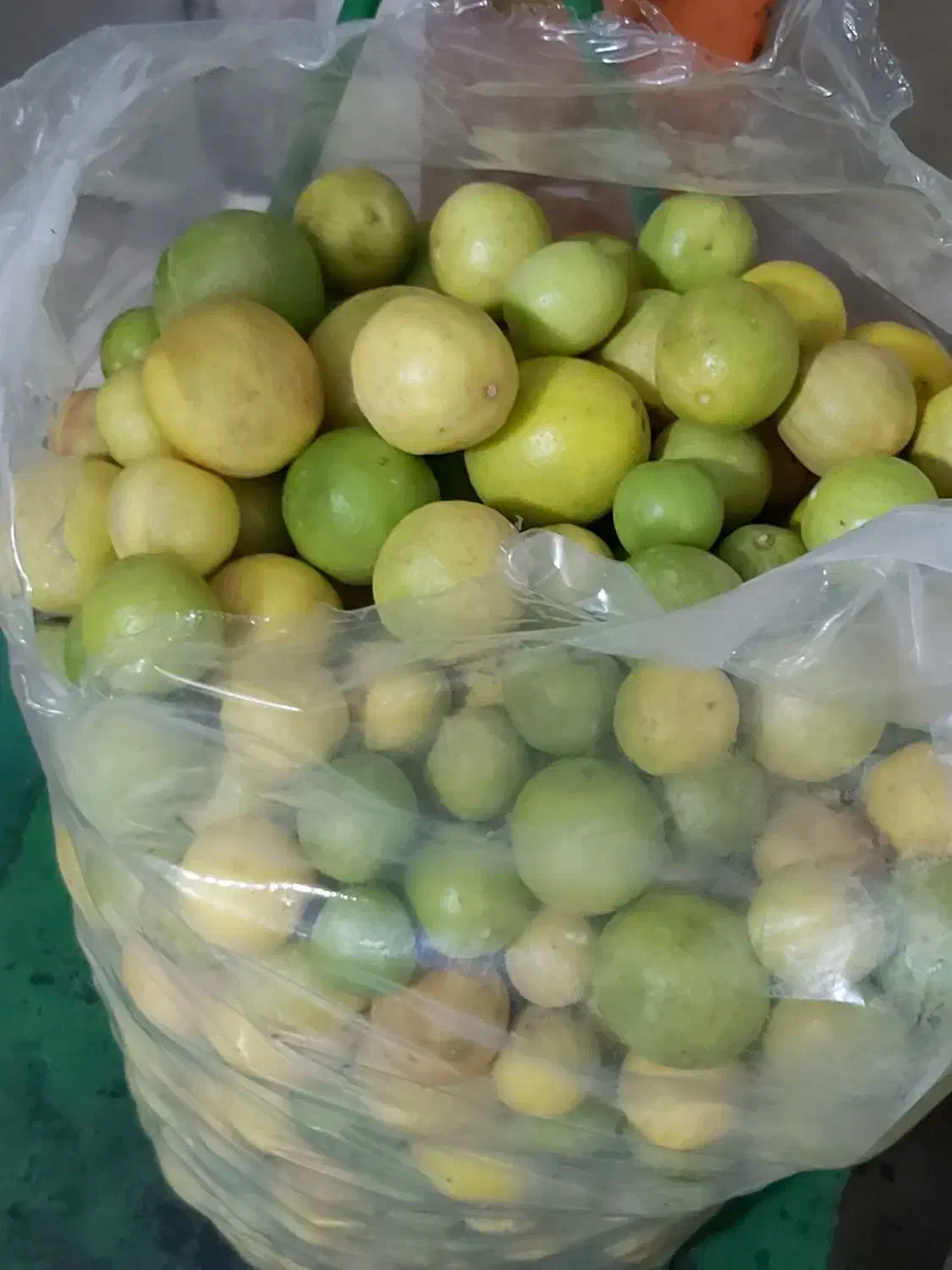 لیمو رودان|خوردنی و آشامیدنی|زرند, |دیوار