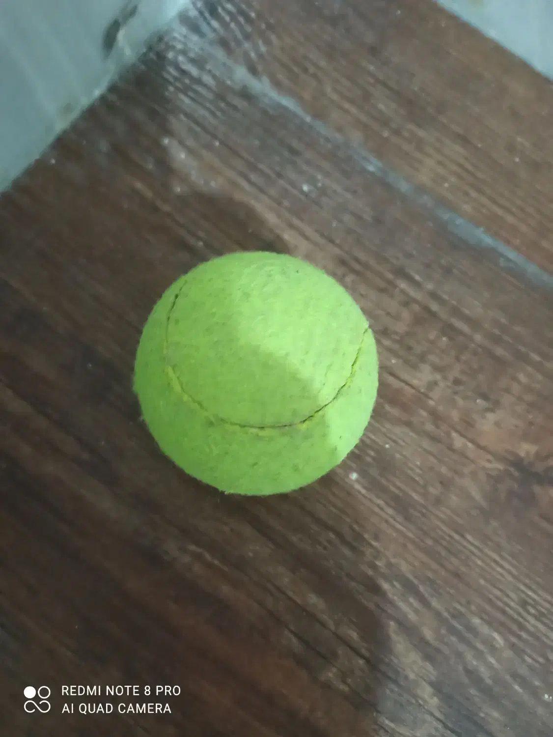 راکت تنیس|ورزشهای توپی|مشهد, هفت تیر (حافظ)|دیوار