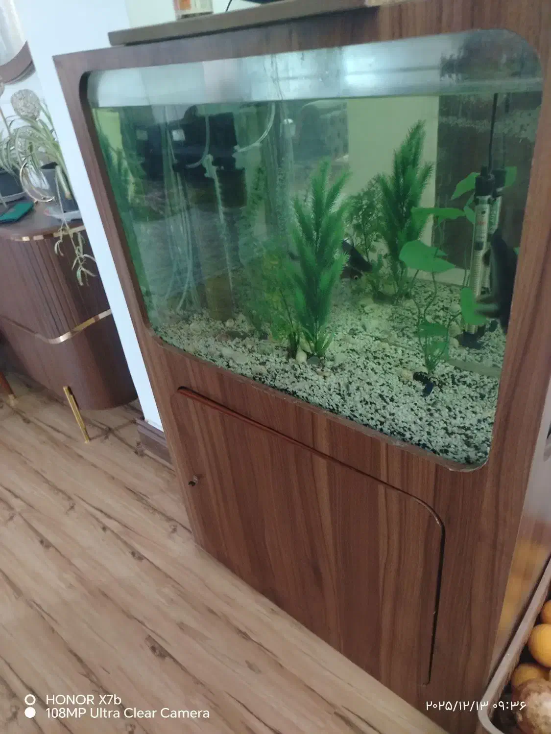 آکواریوم بزرگ با کمد همراه با لوازم وماهی|ماهی|کردکوی, |دیوار