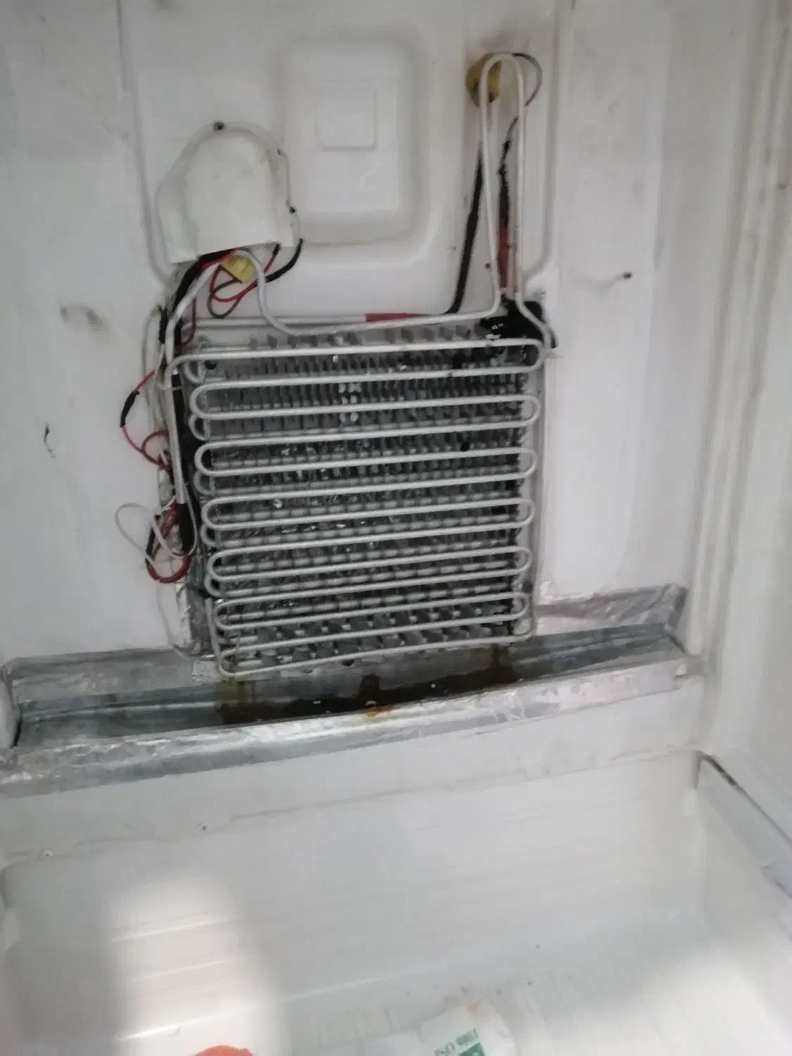 یخچال فریزر اسنوا|یخچال و فریزر|شهریار, رضی آباد بالا|دیوار