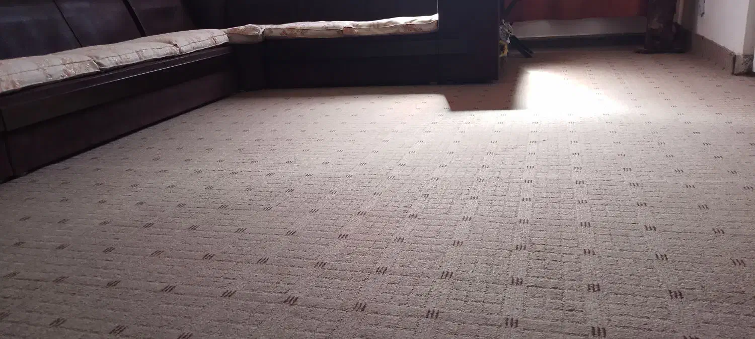 پالاز  درحد نو|موکت|دهدشت, |دیوار