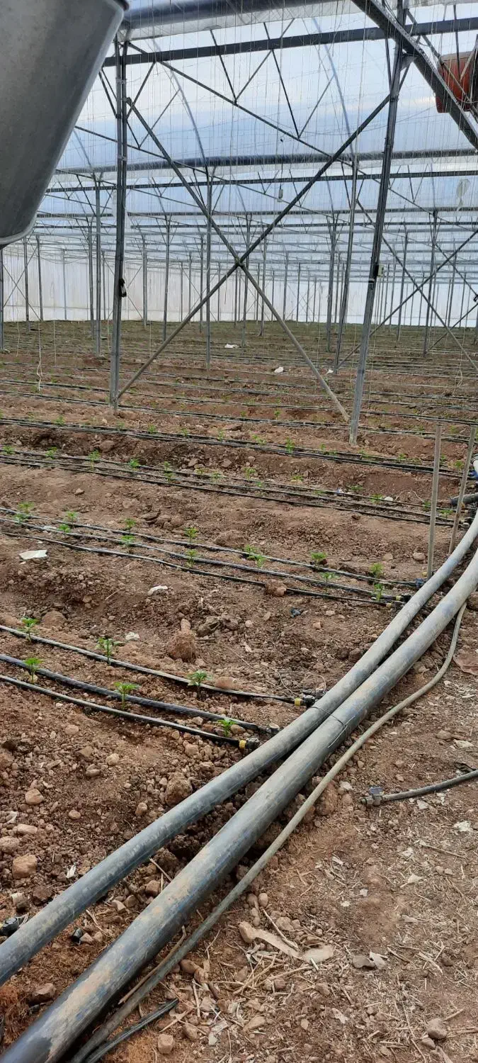 گلخانه|فروش دفتر صنعتی، کشاورزی، تجاری|عسگران, |دیوار