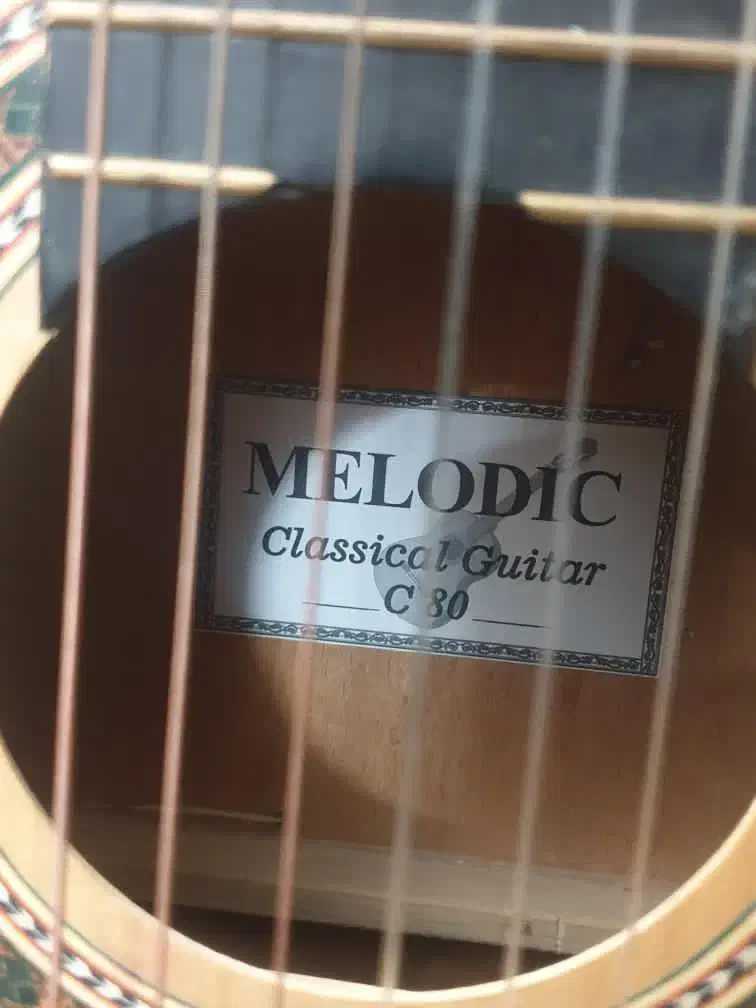 گیتار|گیتار، بیس، امپلیفایر|کاشان, ولیعصر|دیوار