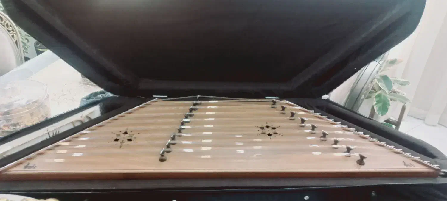 سنتوردومهره حمیدموسوی|سازهای سنتی|بندرعباس, |دیوار