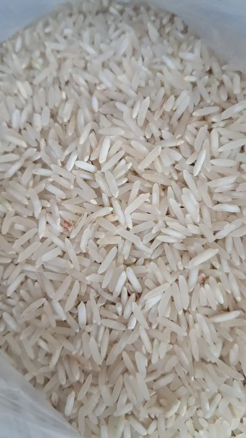 برنج فجر نوراباد|خوردنی و آشامیدنی|شیراز, کیان آباد|دیوار