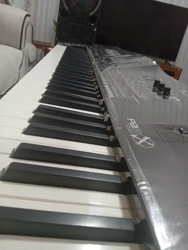 ارگ پیا تری|پیانو، کیبورد، آکاردئون|تهران, مخصوص|دیوار