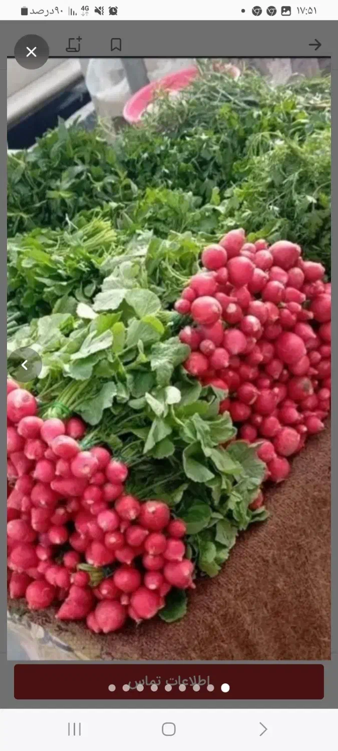همکاری خانم  برای سبزی پاک کردنی در گارگاه|استخدام خدمات فروشگاه و رستوران|خلخال, |دیوار