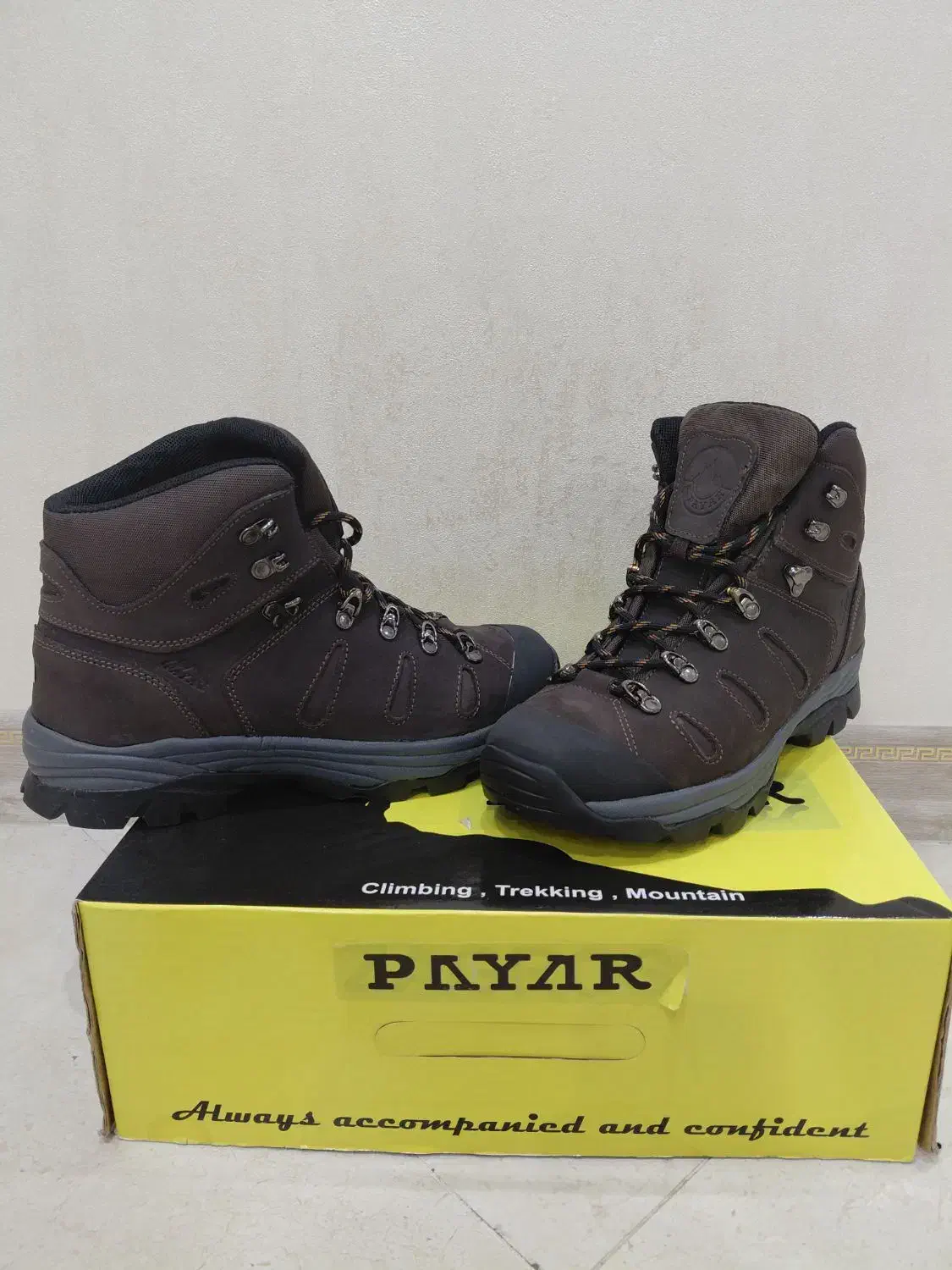 کفش پایار فالکون|کیف، کفش، کمربند|باقرشهر, |دیوار