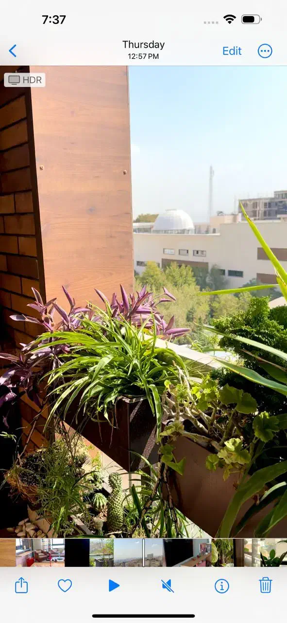 ۱۵۰ متر تک واحدی/فرمانیه غربی ابکوهها|فروش آپارتمان|تهران, کامرانیه|دیوار