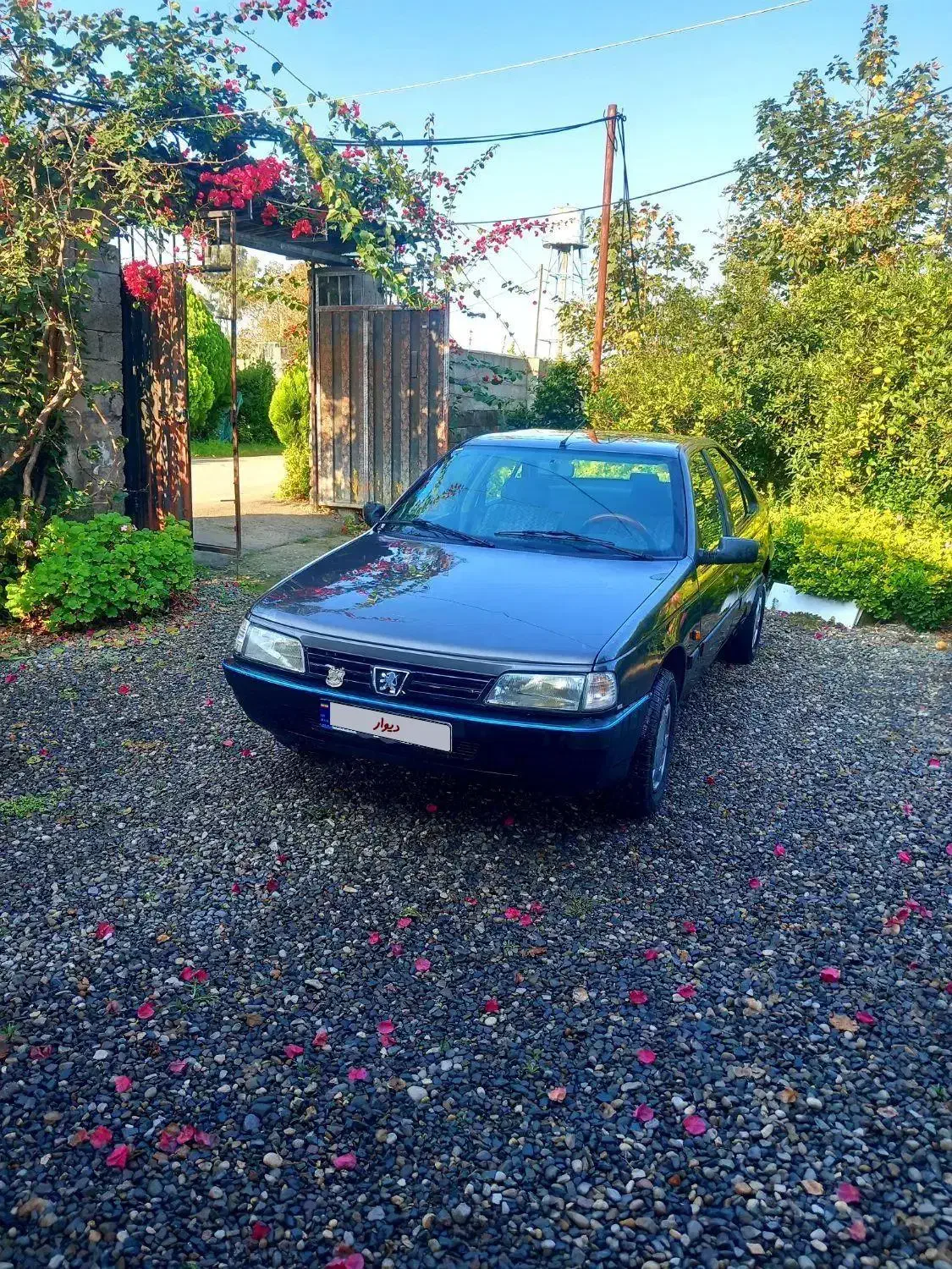 پژوروا مدل ۱۳۸۷ دوگانه شرکتی تست گاز داردوکم کار|خودرو سواری و وانت|کلاچای, |دیوار