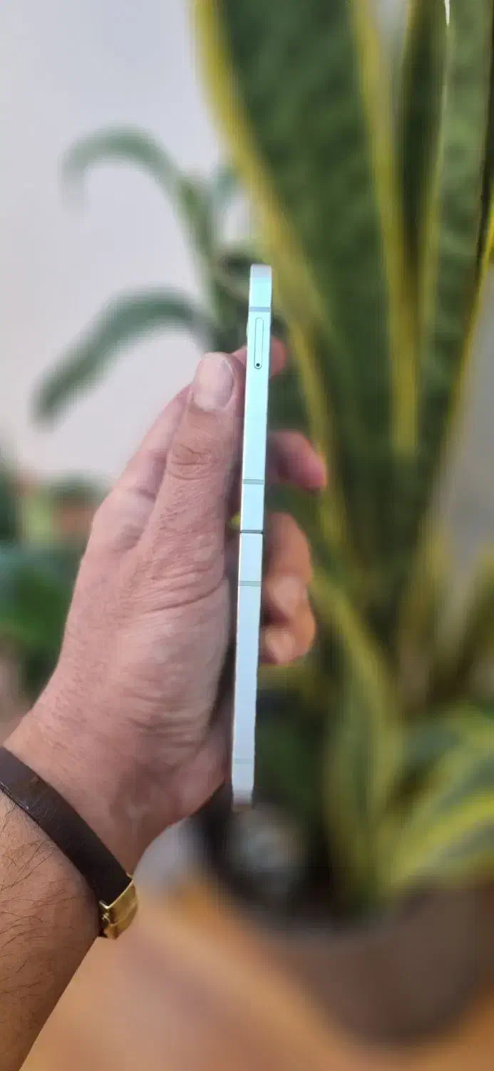 samsung zflip6 سامسونگ اقساط و نقد|موبایل|تهران, جردن|دیوار